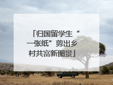 归国留学生“一张纸”剪出乡村共富新图景