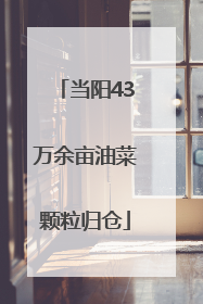 当阳43万余亩油菜颗粒归仓