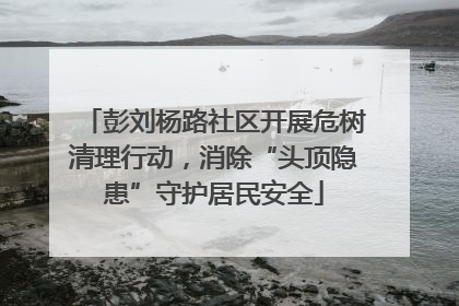 彭刘杨路社区开展危树清理行动，消除“头顶隐患”守护居民安全