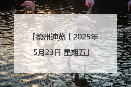 德州速览丨2025年5月23日 星期五