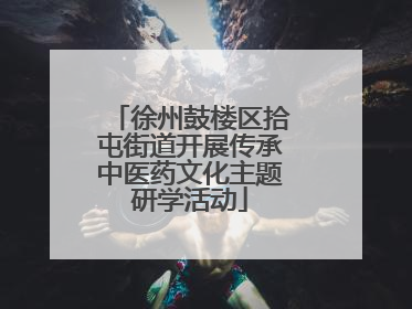 徐州鼓楼区拾屯街道开展传承中医药文化主题研学活动