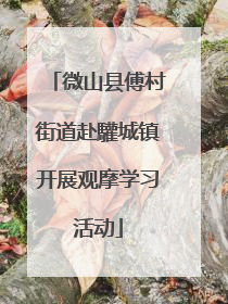 微山县傅村街道赴驩城镇开展观摩学习活动