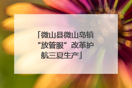 微山县微山岛镇“放管服”改革护航三夏生产