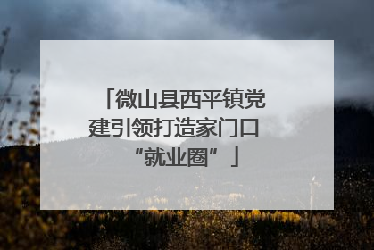 微山县西平镇党建引领打造家门口“就业圈”