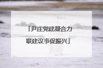 尹庄党建凝合力 联建议事促振兴