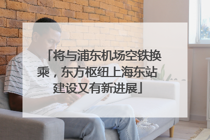 将与浦东机场空铁换乘，东方枢纽上海东站建设又有新进展