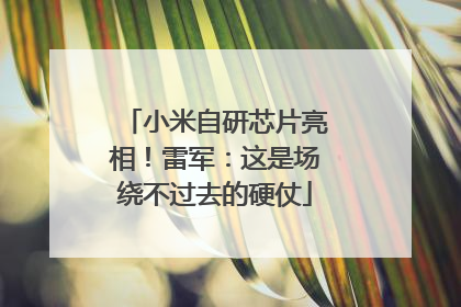 小米自研芯片亮相！雷军：这是场绕不过去的硬仗