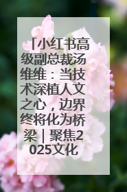 小红书高级副总裁汤维维：当技术深植人文之心，边界终将化为桥梁｜聚焦2025文化强国建设高峰论坛