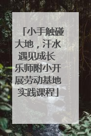 小手触碰大地，汗水遇见成长 乐师附小开展劳动基地实践课程