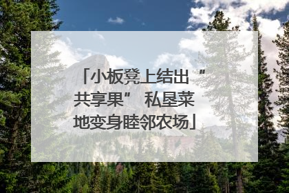 小板凳上结出“共享果” 私垦菜地变身睦邻农场