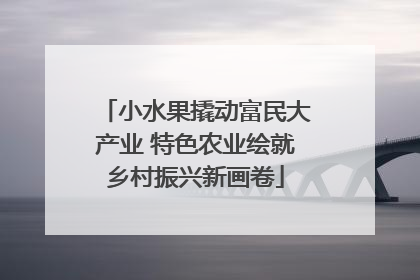 小水果撬动富民大产业 特色农业绘就乡村振兴新画卷