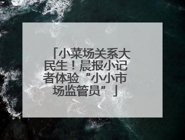小菜场关系大民生！晨报小记者体验“小小市场监管员”