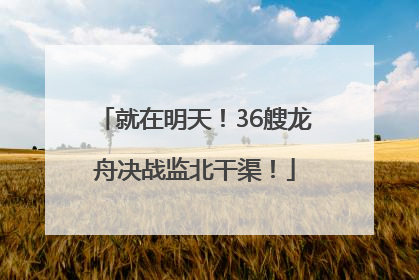 就在明天！36艘龙舟决战监北干渠！