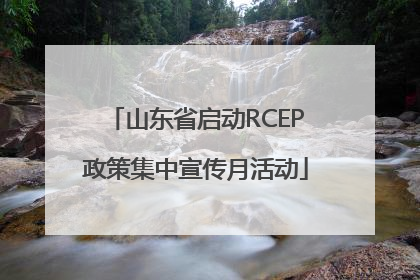 山东省启动RCEP政策集中宣传月活动