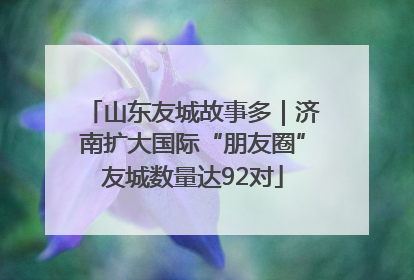 山东友城故事多｜济南扩大国际“朋友圈”友城数量达92对