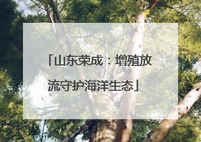 山东荣成：增殖放流守护海洋生态