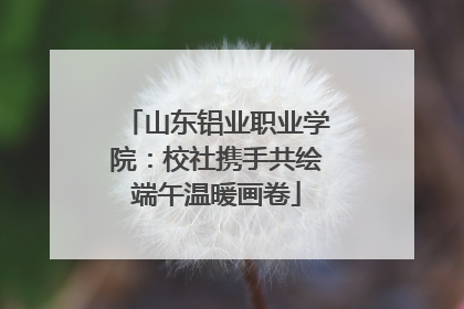 山东铝业职业学院：校社携手共绘端午温暖画卷