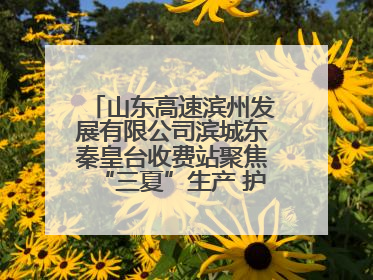 山东高速滨州发展有限公司滨城东秦皇台收费站聚焦“三夏”生产 护航农机畅行“丰收路”