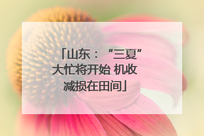 山东：“三夏”大忙将开始 机收减损在田间