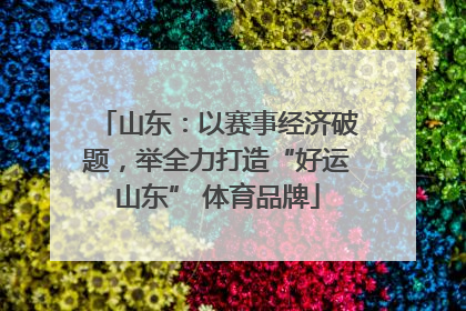 山东：以赛事经济破题，举全力打造“好运山东” 体育品牌