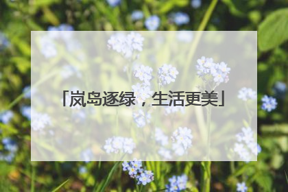 岚岛逐绿，生活更美