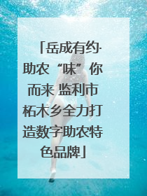 岳成有约·助农“味”你而来 监利市柘木乡全力打造数字助农特色品牌