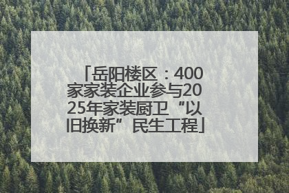 岳阳楼区：400家家装企业参与2025年家装厨卫“以旧换新”民生工程