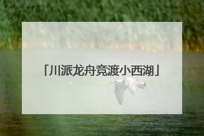 川派龙舟竞渡小西湖