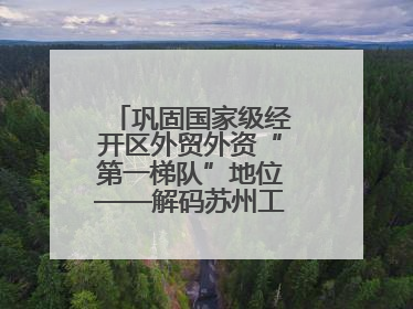 巩固国家级经开区外贸外资“第一梯队”地位——解码苏州工业园区样本