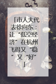 市人大代表徐向东：让“低空经济”在杭州飞得又“稳”又“好”