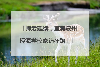 师爱延续，宜宾叙州樟海学校家访在路上