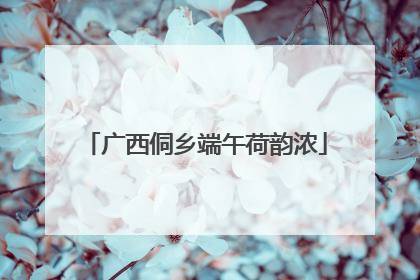 广西侗乡端午荷韵浓