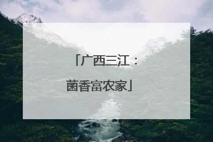 广西三江：菌香富农家