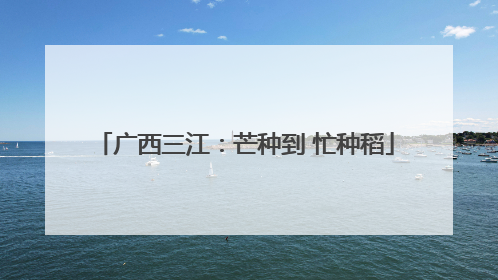 广西三江：芒种到 忙种稻