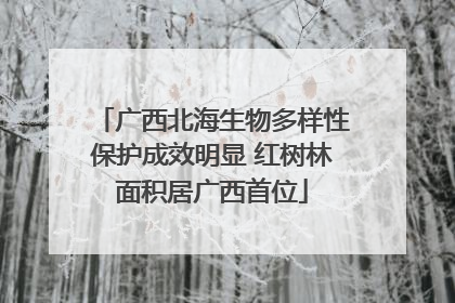 广西北海生物多样性保护成效明显 红树林面积居广西首位