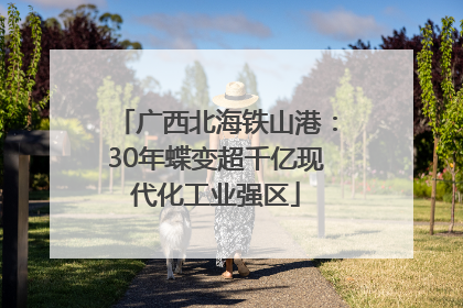 广西北海铁山港：30年蝶变超千亿现代化工业强区