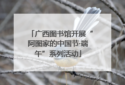 广西图书馆开展“阿图家的中国节·端午”系列活动