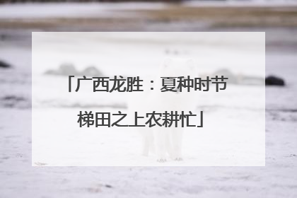 广西龙胜：夏种时节 梯田之上农耕忙