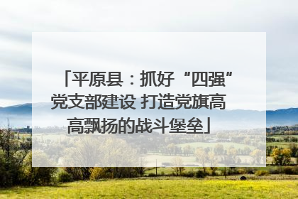 平原县：抓好“四强”党支部建设 打造党旗高高飘扬的战斗堡垒