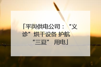 平舆供电公司：“义诊”烘干设备 护航 “三夏” 用电