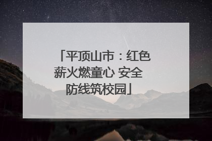 平顶山市：红色薪火燃童心 安全防线筑校园