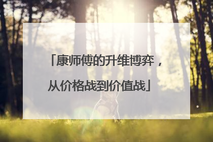 康师傅的升维博弈，从价格战到价值战
