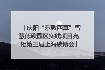 庆阳“东数西算”智慧低碳园区实践项目亮相第三届上海碳博会