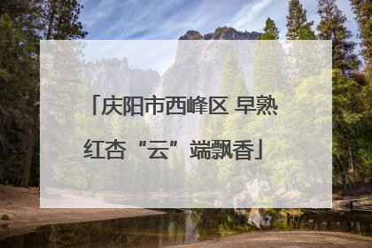 庆阳市西峰区 早熟红杏“云”端飘香