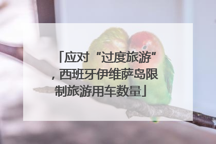 应对“过度旅游”，西班牙伊维萨岛限制旅游用车数量