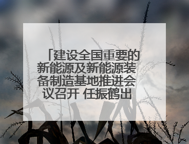 建设全国重要的新能源及新能源装备制造基地推进会议召开 任振鹤出席并讲话