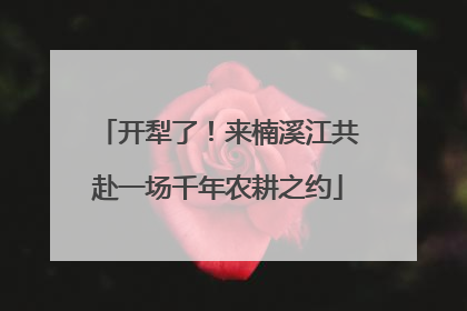 开犁了！来楠溪江共赴一场千年农耕之约