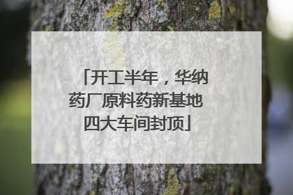 开工半年，华纳药厂原料药新基地四大车间封顶
