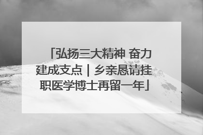 弘扬三大精神 奋力建成支点｜乡亲恳请挂职医学博士再留一年