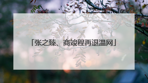 张之臻、商竣程再退温网